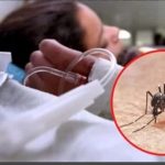 Epidemia en Yucatan por Dengue