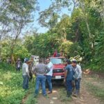 El Alcalde de Ixtacomitán, Miguel Angel Moreno Palacios supervisa el derribo de árboles que afectaban líneas de energía