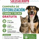 Solosuchiapa realizará Jornada Gratuita de Esterilización Canina y Felina